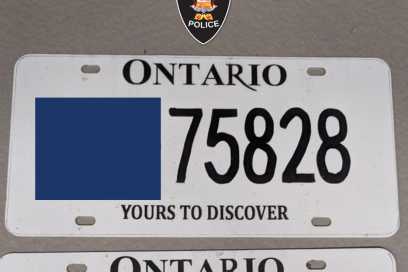 Driver Charged After Using DIY Licence Plate