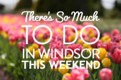 There’s So Much To Do In Windsor Essex This Weekend: March 31st To April 2nd