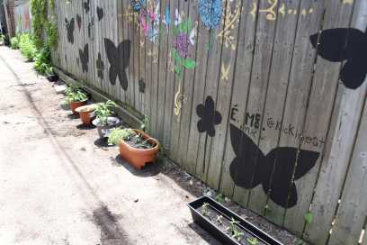 PHOTOS: Butterfly Lane Native Flower Planting