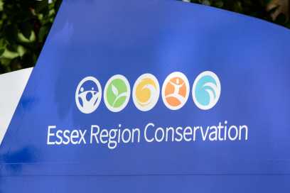 Public Consultation Meeting Planned For The Hillman Marsh Conservation Area Restoration Plan