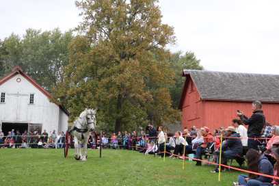 Harvest And Horses Festival At The John R. Park Homestead This Sunday