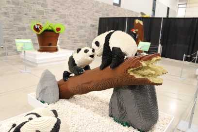 PHOTOS: LaSalle Event Centre Filled With LEGO® For Exhibit