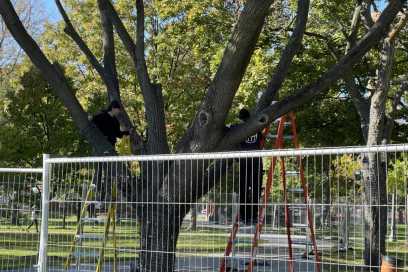 More Of Jackson Park To Close For Bright Lights Setup