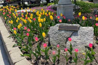 Photo Of The Day – Thursday May 1st, 2025