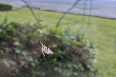 Photo Of The Day – Tuesday June 3rd, 2025
