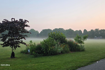 Photo Of The Day – Friday July 18th, 2025