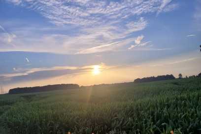 Photo Of The Day – Thursday July 17th, 2025