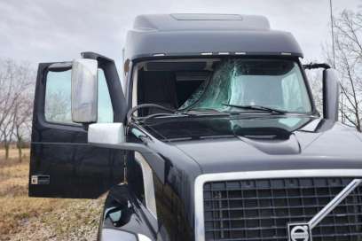 Wild Turkey Crashed Through Truck Window