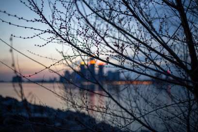 Detroit Mailboat Crew Rescues Man Swimming Across Detroit River From Windsor