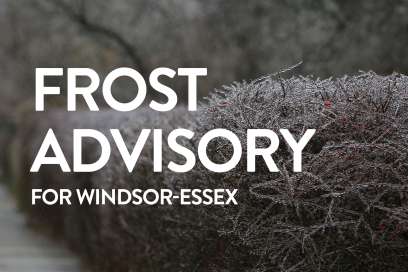 Frost Advisory Issued