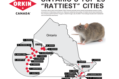 Windsor’s One Of Ontario’s Rattiest Cities