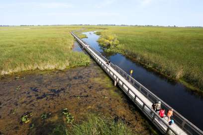 Point Pelee National Park Tip Tower Reopens To Visitors