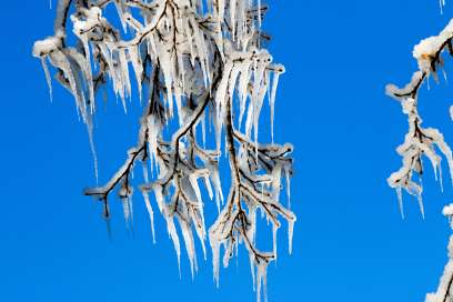 Freezing Rain Warning Issued