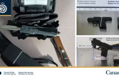 Weapons Seized At Local Border Crossings