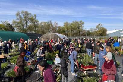 City’s Annual Plant Sale This Saturday