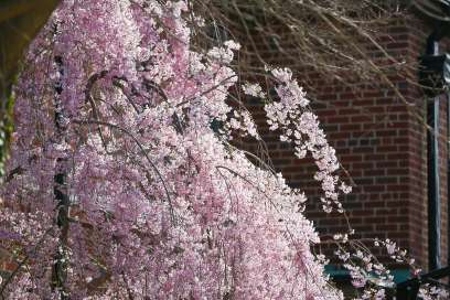 WEATHER: Sunday May 4th, 2025