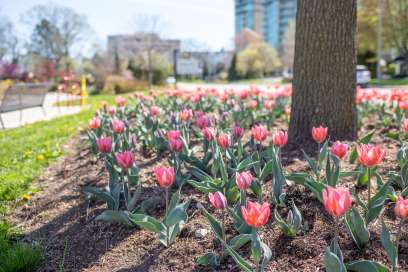 WEATHER: Monday May 19th, 2025