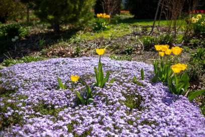 WEATHER: Sunday May 25th, 2025