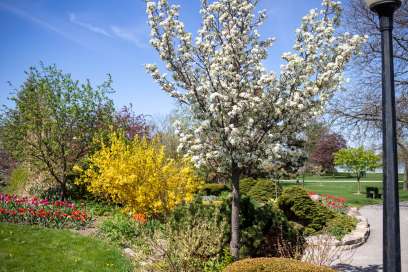 WEATHER: Sunday May 11th, 2025