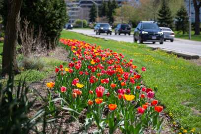 WEATHER: Monday May 12th, 2025