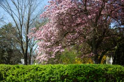 WEATHER: Sunday May 18th, 2025