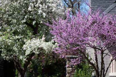 WEATHER: Monday May 26th, 2025