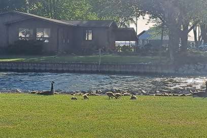Photo Of The Day - Tuesday May 20th, 2025