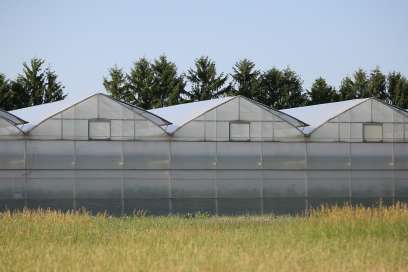 Lakeshore Council Endorses Official Plan Amendments Aimed At Commercial Greenhouses