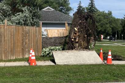 PHOTOS: Storm Damage In LaSalle