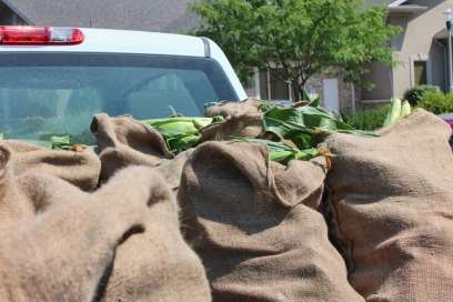 Owners Of Lafferty Sweet Corn Retire From The Corn Business