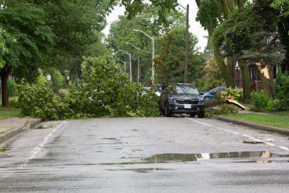 PHOTOS: Saturday Storm Damage In Windsor