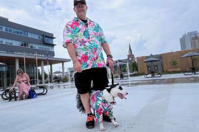 Dog Days Of Summer Takes Over Senator Croll Park This Sunday