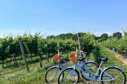 Wineries, Views, And Vibes: Why Windsor Essex Should Be Your Next Wine Getaway