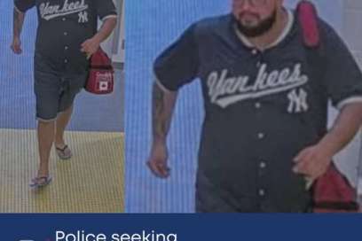 Police Seek Alleged Theft And Fraud Suspect