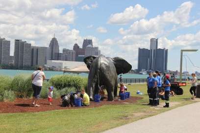 City Needs Help Bathing Elephants