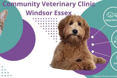 New Community Veterinary Clinic Opens With Familiar Names