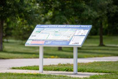 Wild Parsnip Control In The Little River Corridor Starts Tuesday